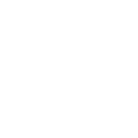 LinkedIn icon